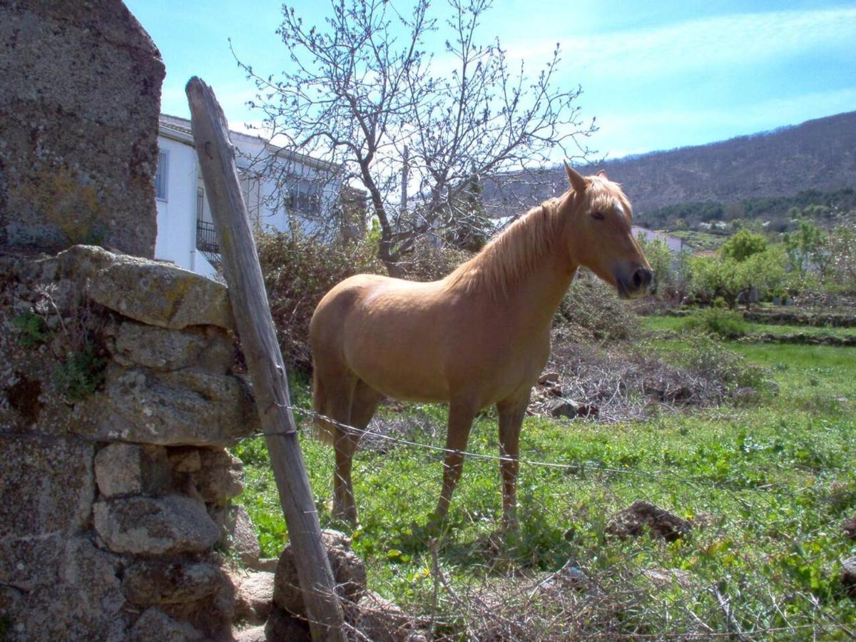 Casa Rural Cristina III San Pablo de los Montes Екстер'єр фото